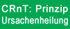 Prinzip der Ursachenheilung